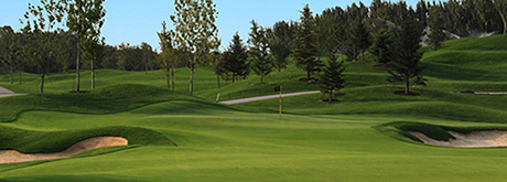 Landscape design and construction